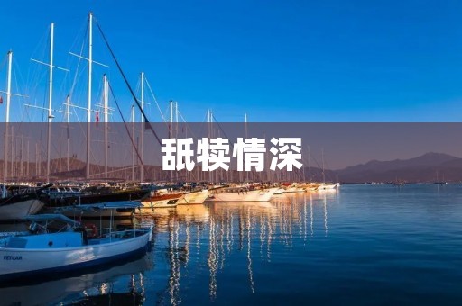 舐犊情深:母犊关系的深刻意义