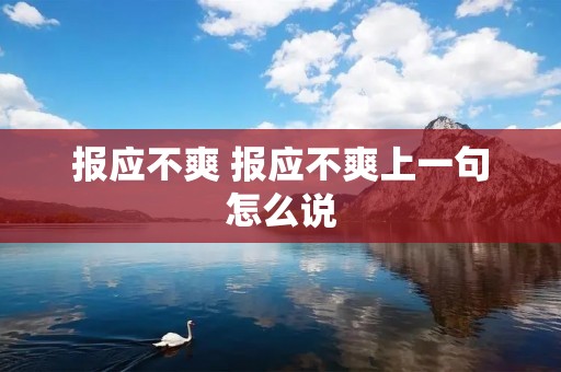 报应不爽 报应不爽上一句怎么说