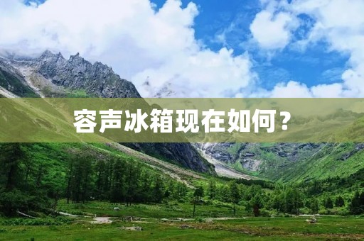 容声冰箱现在如何? 容声冰箱现在如何?