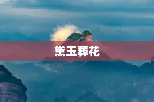 黛玉葬花：一个爱情与生命的交织之歌