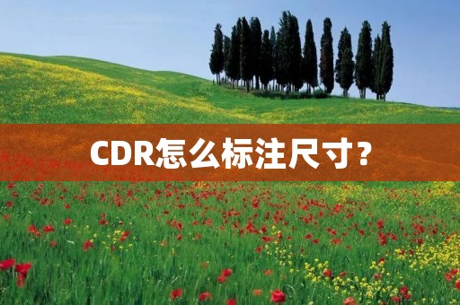 CDR怎么标注尺寸? CDR怎么标注尺寸?