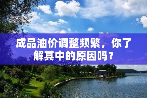 成品油价调整频繁,你了解其中的原因吗? 成品油价调整频繁,你了解其中的原因吗?