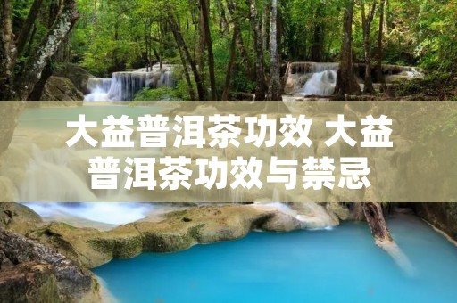 大益普洱茶功效 大益普洱茶功效与禁忌 大益普洱茶功效 大益普洱茶功效与禁忌
