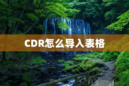 CDR怎么导入表格