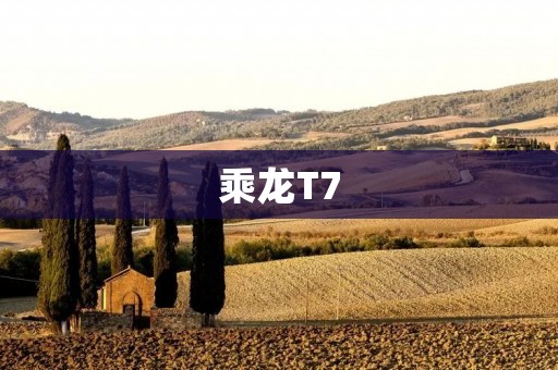 乘龙T7:一款性价比极高的SUV 乘龙T7:一款性价比极高的SUV
