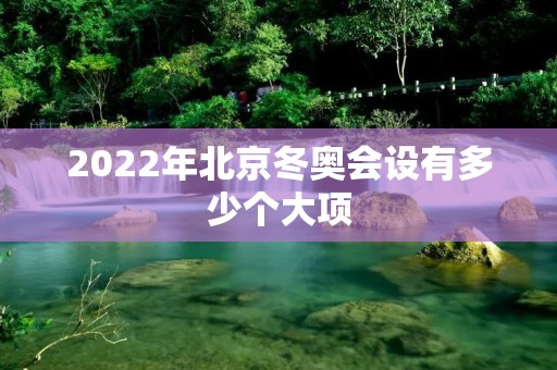 2022年北京冬奥会设有多少个大项