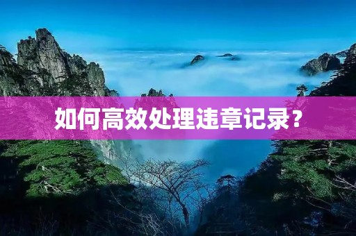 如何高效处理违章记录? 如何高效处理违章记录?