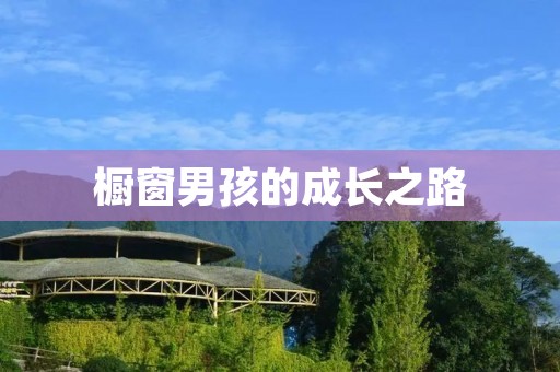 橱窗男孩的成长之路 橱窗男孩的成长之路