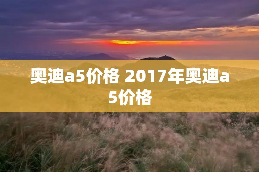 奥迪a5价格 2017年奥迪a5价格