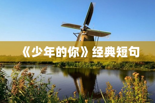 《少年的你》经典短句