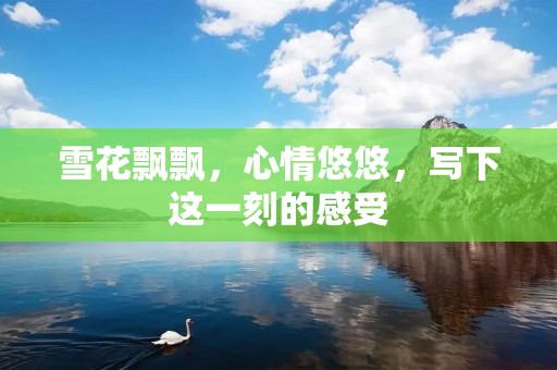 雪花飘飘,心情悠悠,写下这一刻的感受