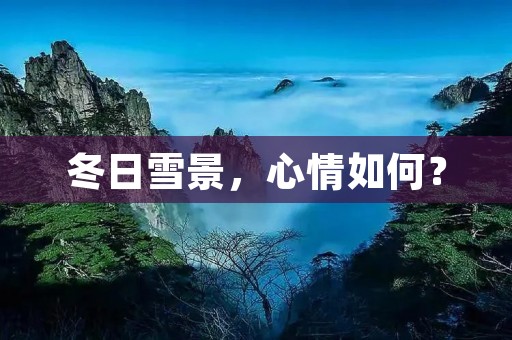 冬日雪景,心情如何?