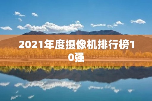 2021年度摄像机排行榜10强