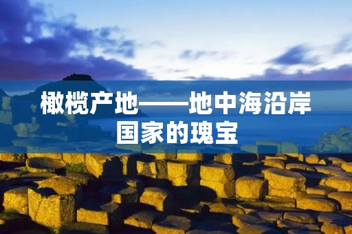 橄榄产地——地中海沿岸国家的瑰宝