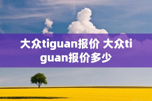 大众tiguan报价 大众tiguan报价多少