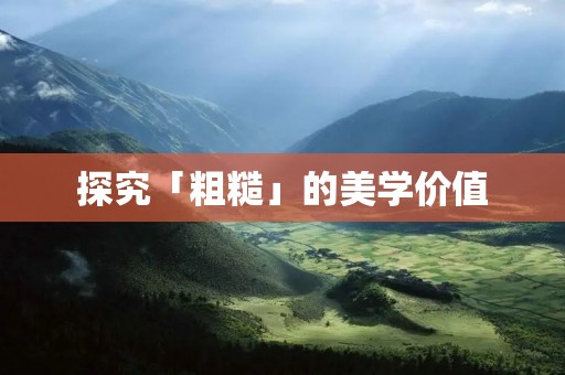 探究「粗糙」的美学价值