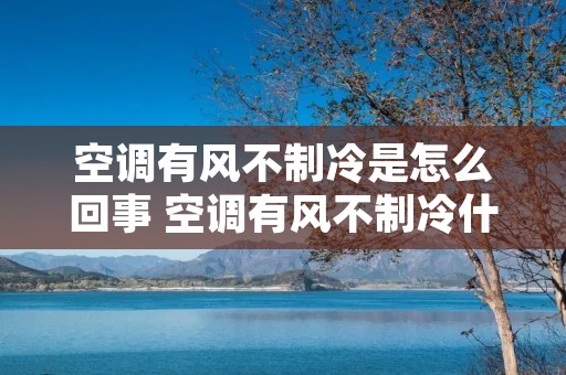 空调有风不制冷是怎么回事 空调有风不制冷什么情况