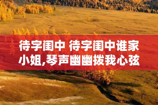 待字闺中 待字闺中谁家小姐,琴声幽幽拨我心弦