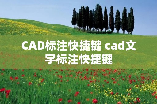 CAD标注快捷键 cad文字标注快捷键