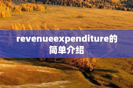 revenueexpenditure的简单介绍 revenueexpenditure的简单介绍