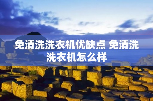 免清洗洗衣机优缺点 免清洗洗衣机怎么样