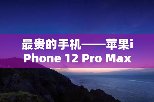 最贵的手机——苹果iPhone 12 Pro Max