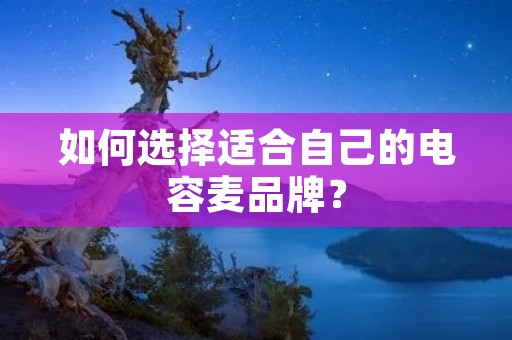 如何选择适合自己的电容麦品牌？