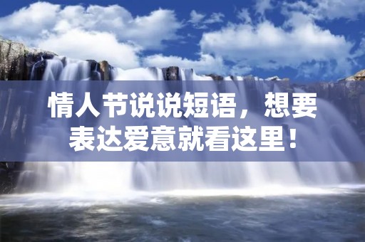 情人节说说短语,想要表达爱意就看这里!