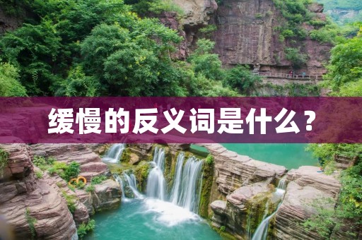 缓慢的反义词是什么?