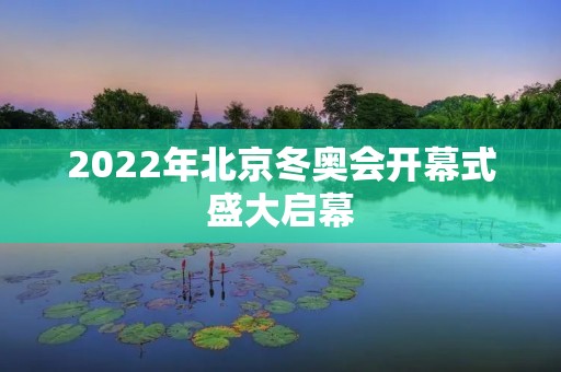 2022年北京冬奥会开幕式盛大启幕 2022年北京冬奥会开幕式盛大启幕