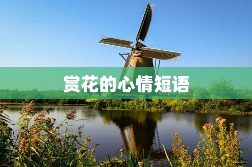 赏花的心情短语