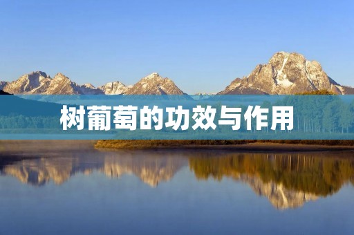 树葡萄的功效与作用