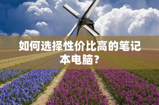 如何选择性价比高的笔记本电脑？