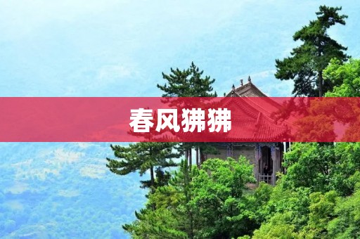 春风狒狒：亚洲特有的珍稀灵长类动物