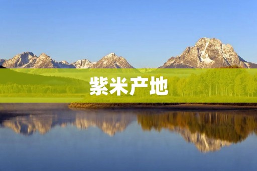 紫米产地:探寻中国紫米的故乡