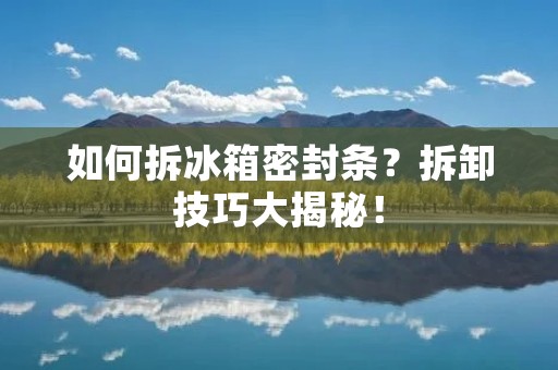 如何拆冰箱密封条？拆卸技巧大揭秘！