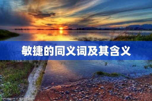 敏捷的同义词及其含义