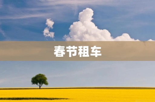 春节租车:如何选择适合自己的租车方式? 春节租车:如何选择适合自己的租车方式?