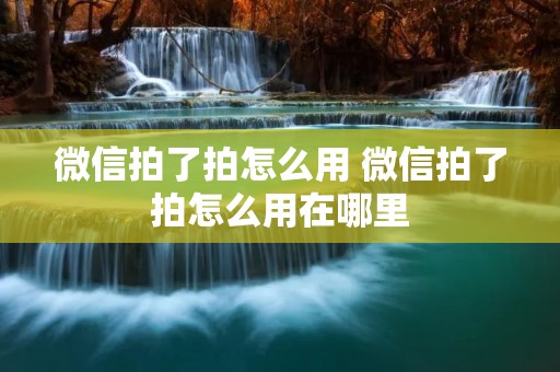 微信拍了拍怎么用 微信拍了拍怎么用在哪里