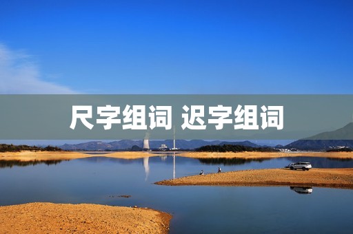 尺字组词 迟字组词