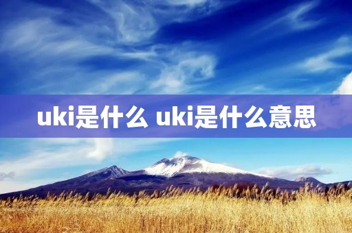uki是什么 uki是什么意思