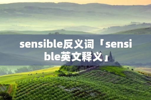 sensible反义词「sensible英文释义」