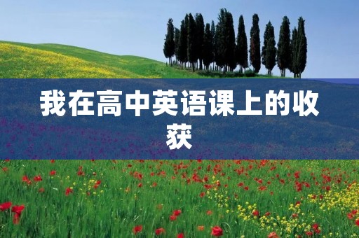 我在高中英语课上的收获 我在高中英语课上的收获