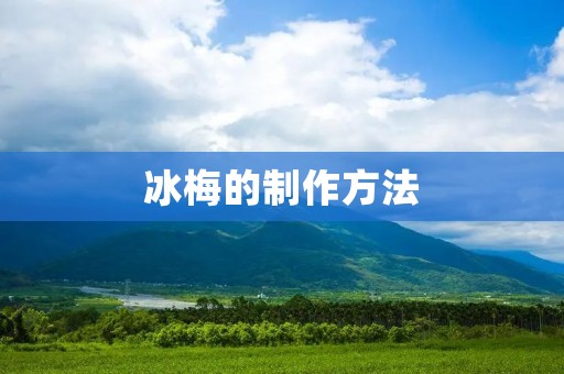 冰梅的制作方法 冰梅的制作方法