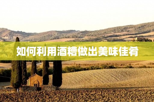 如何利用酒糟做出美味佳肴