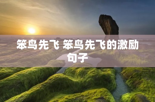 笨鸟先飞 笨鸟先飞的激励句子