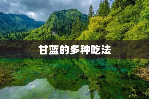 甘蓝的多种吃法 甘蓝的多种吃法