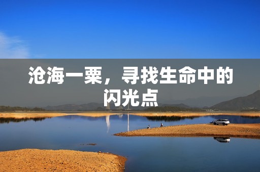 沧海一粟，寻找生命中的闪光点