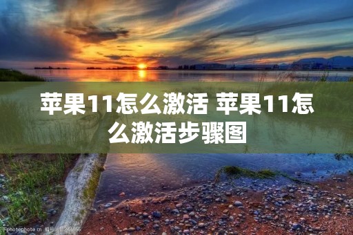 苹果11怎么激活 苹果11怎么激活步骤图