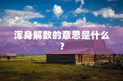 浑身解数的意思是什么？